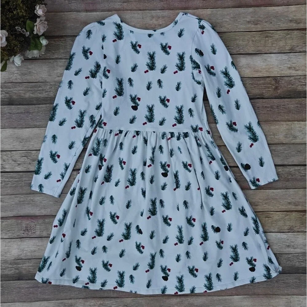Pink Chicken New York Pine & Cranberry Organic Girls Dress Size 10